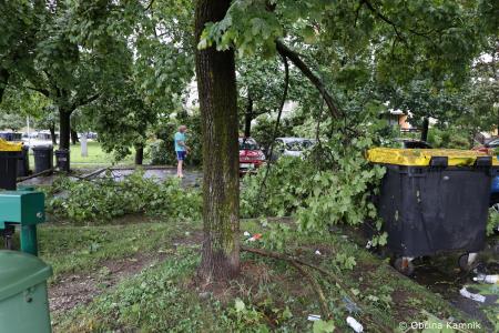 Neurje z vetrom podiralo drevesa in odkrivalo strehe (16)